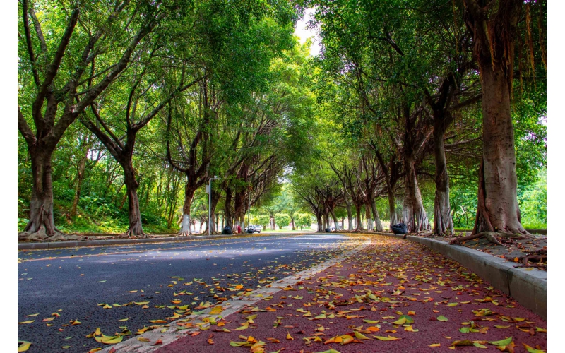 城市文明建设塑胶跑道很重要